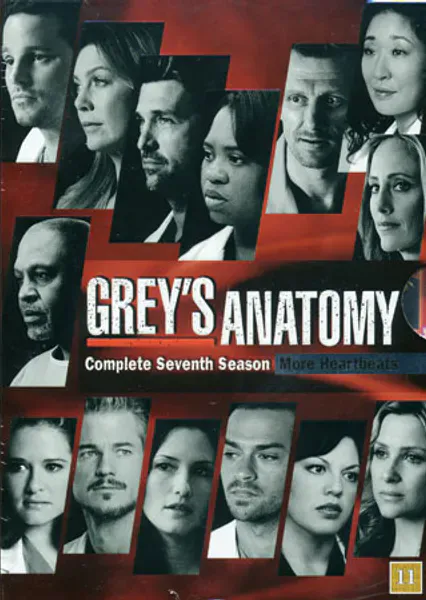 Grey's Anatomy - Säsong 7 (dvd) beg