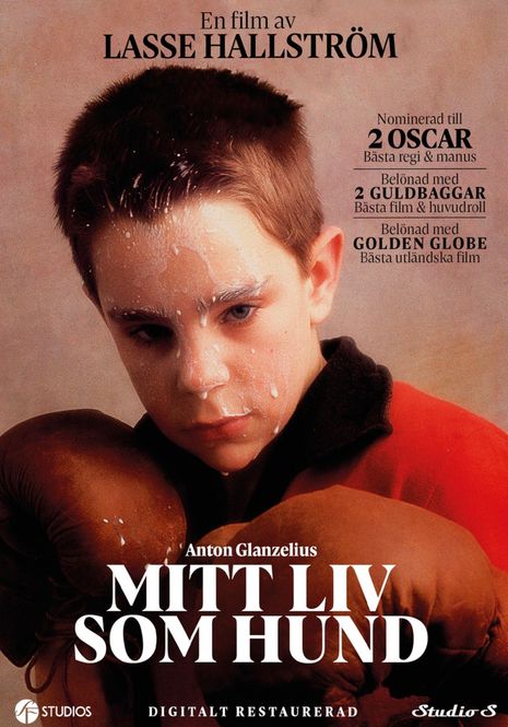 Huvudbild Mitt liv som hund (DVD)