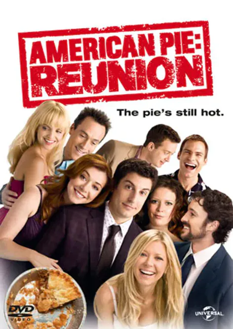 Huvudbild American Pie 8 Reunion (dvd) beg