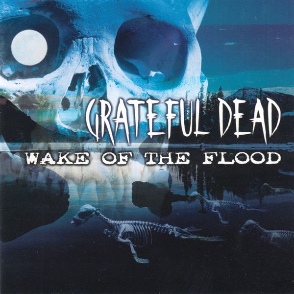 Grateful Dead – Wake Of The Flood (CD) beg